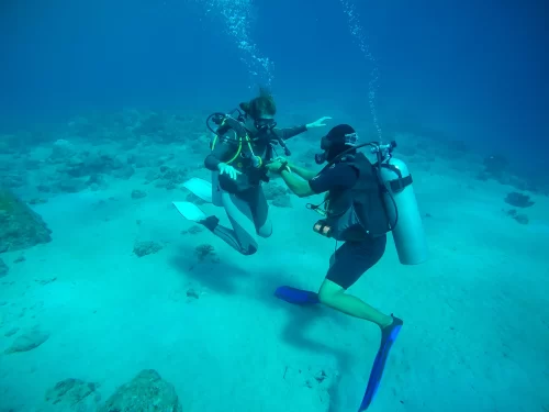 Plongée sous-marine