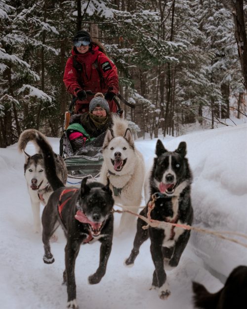 Traineau à chiens