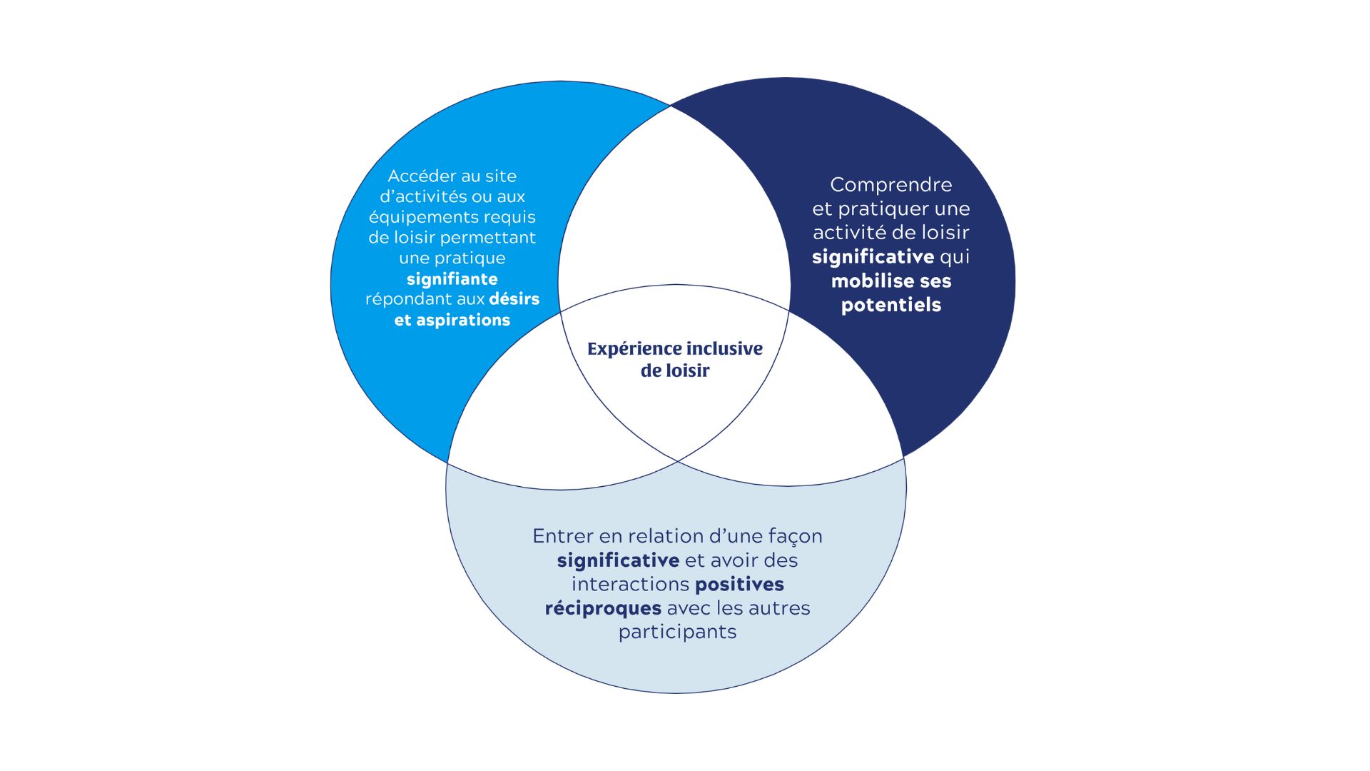 Schéma expérience inclusive de loisir